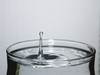Filename=Water_drop_recoil~0.jpg
Filesize=249KiB
Dimensions=1024x768
Date added=Sep 23, 2005 Water_drop_recoil~0.jpg